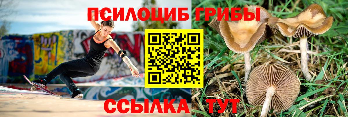 наркота  Галлюциногенные грибы Magic Shrooms  Вход с VPN  Кыштым  Псилоцибиновые грибы прущие грибы 